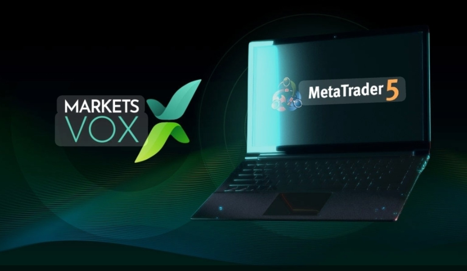 MarketsVox on MetaTrader 5